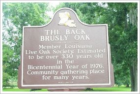 Back-Brusly-Louisiana-Sign